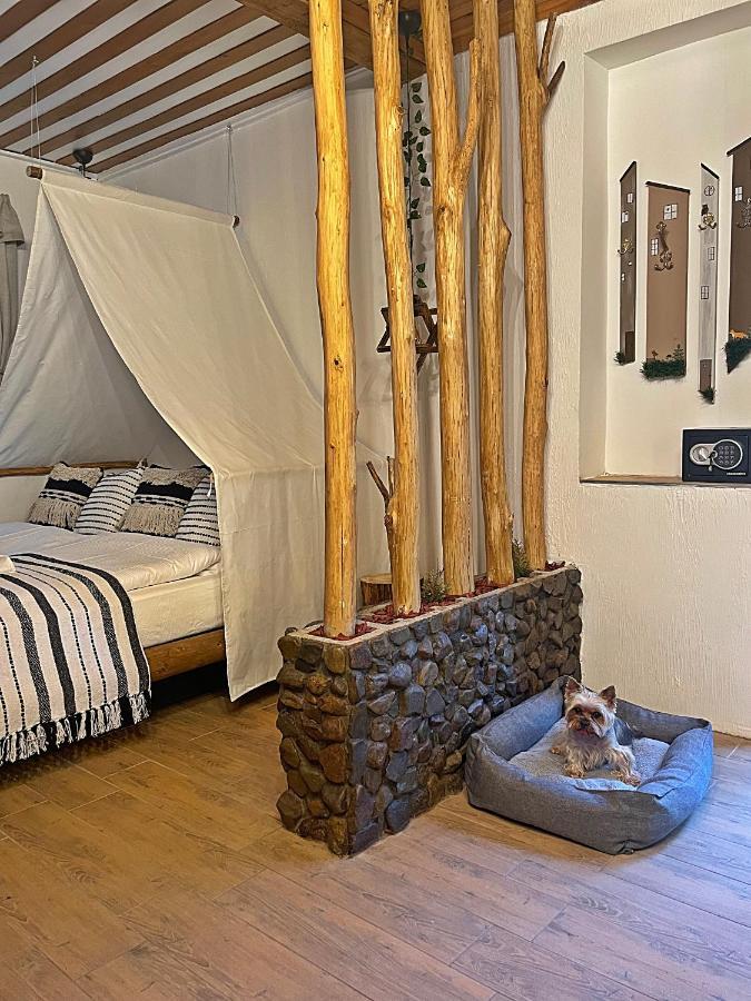 אגר Cityside Cottage מראה חיצוני תמונה